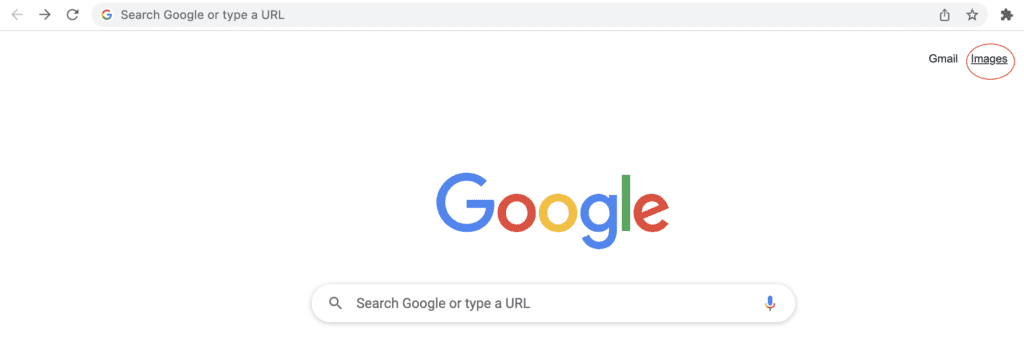 Screenshot of the Google Search homepage
