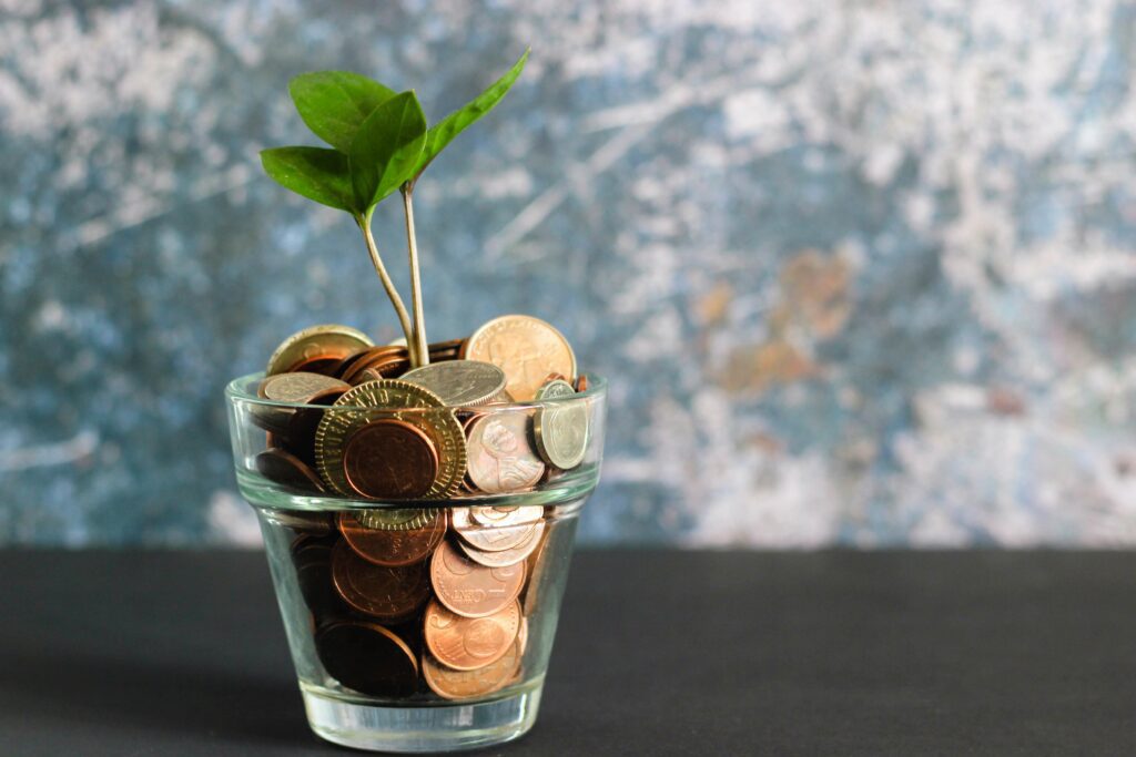 "money tree" growing in a pot of coins. The plant is small.
