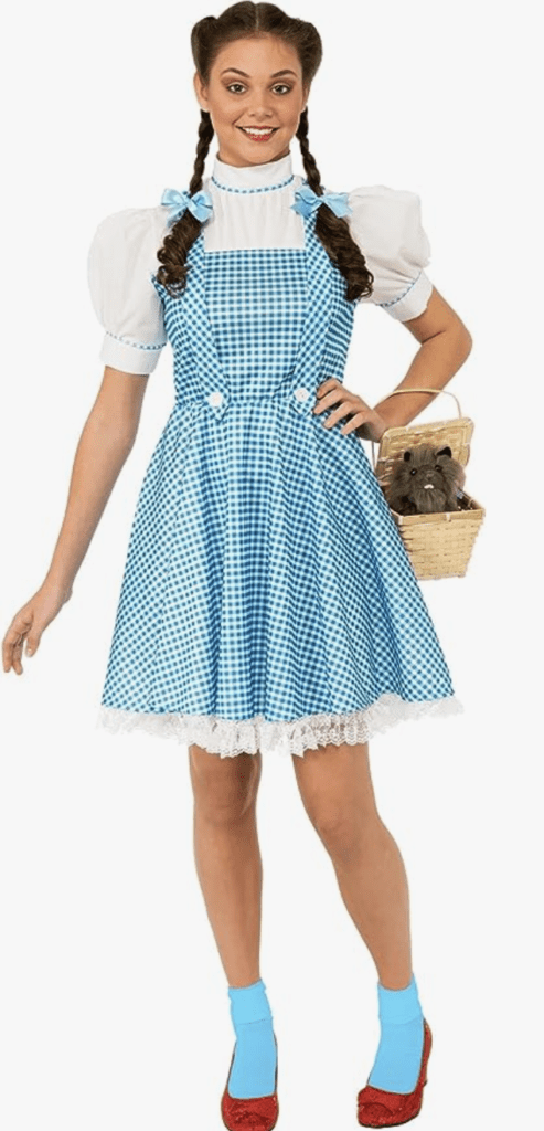 Dorothy halloween costumer