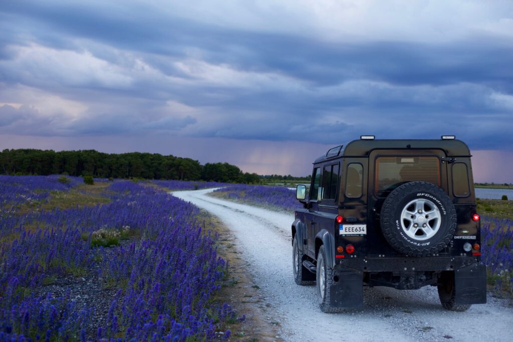 Black Suv in Between Purple Flower Fields. Motivation for saving for a new car.